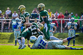 Farmers_vs_Albertshausen-Crusaders_2016-06-05_007.jpg : Fighting Farmers Montabaur vs. Albertshausen Crusaders am 05.06.2016, Bild 7/40