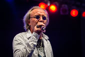 Mariuzz_2015-08-27_026.jpg : Mariuzz, a tribute to Marius Müller-Westernhagen feat. MMW-Band-Legende Markus Winstroer beim Rheinpuls Festival auf der Festung Ehrenbreitstein in Koblenz am 27.08.2015, Bild 26/63