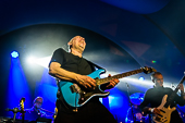 Still_Collins_2018-03-03_KlM_008.jpg : Still Collins 2018-03-03, Bild 8/89
