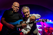 Still_Collins_2018-03-03_KlM_049.jpg : Still Collins 2018-03-03, Bild 49/89
