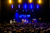 Still-Collins_2018-11-03_KlM_014.jpg : Still-Collins_2018-11-03, Bild 14/52