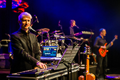 Still-Collins_2018-11-03_KlM_043.jpg : Still-Collins_2018-11-03, Bild 43/52