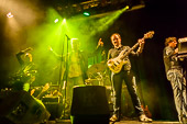 Still_Collins_2014-03-09_041.jpg : Still Collins - Genesis Live Special am 09.03.2014 - Cafe Hahn, Bild 41/52